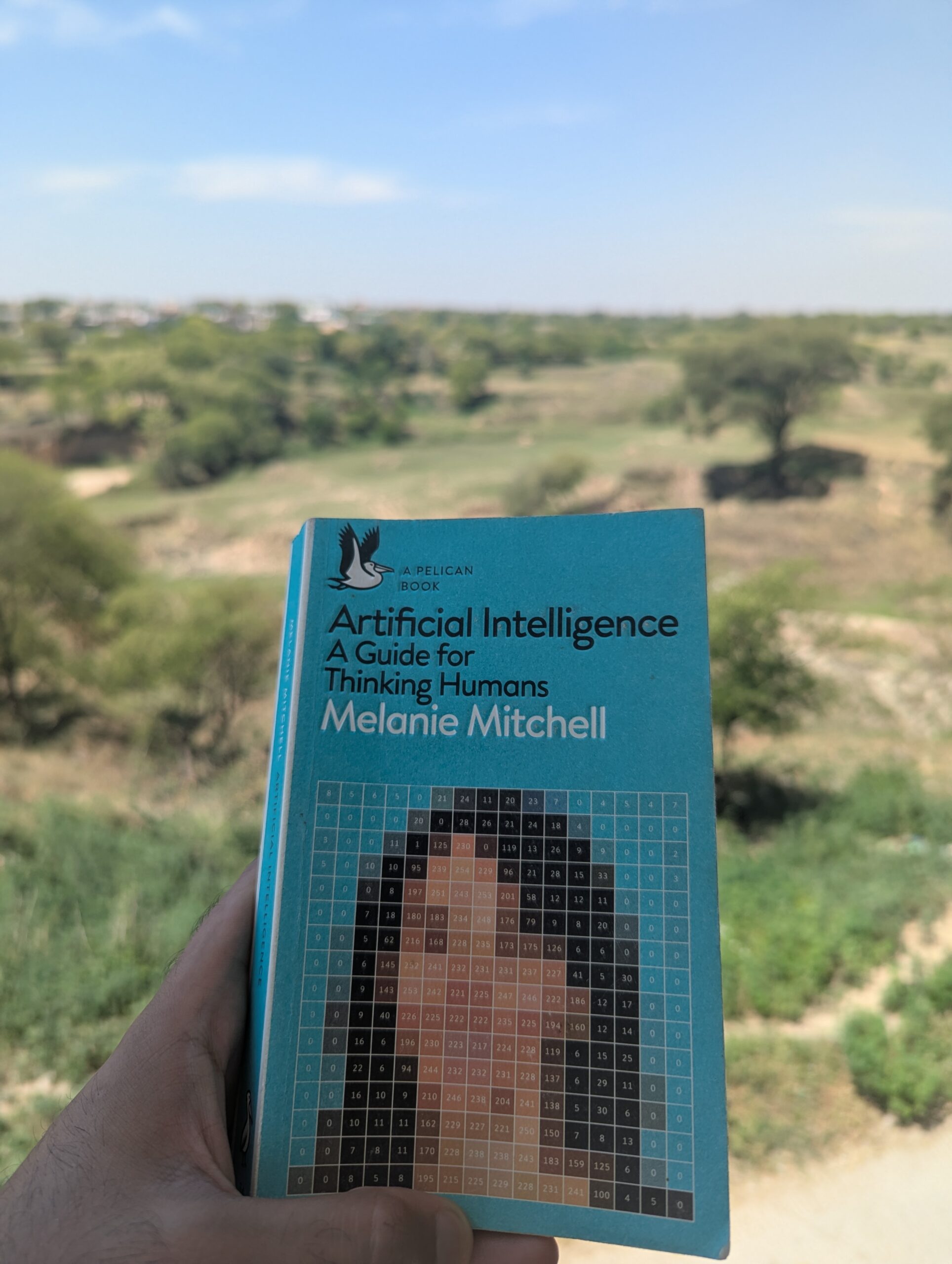 Artificial Intelligence: A Guide for Thinking Humans